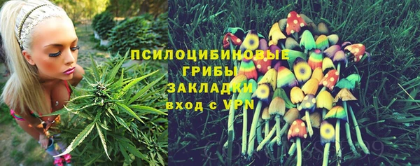 скорость mdpv Белокуриха